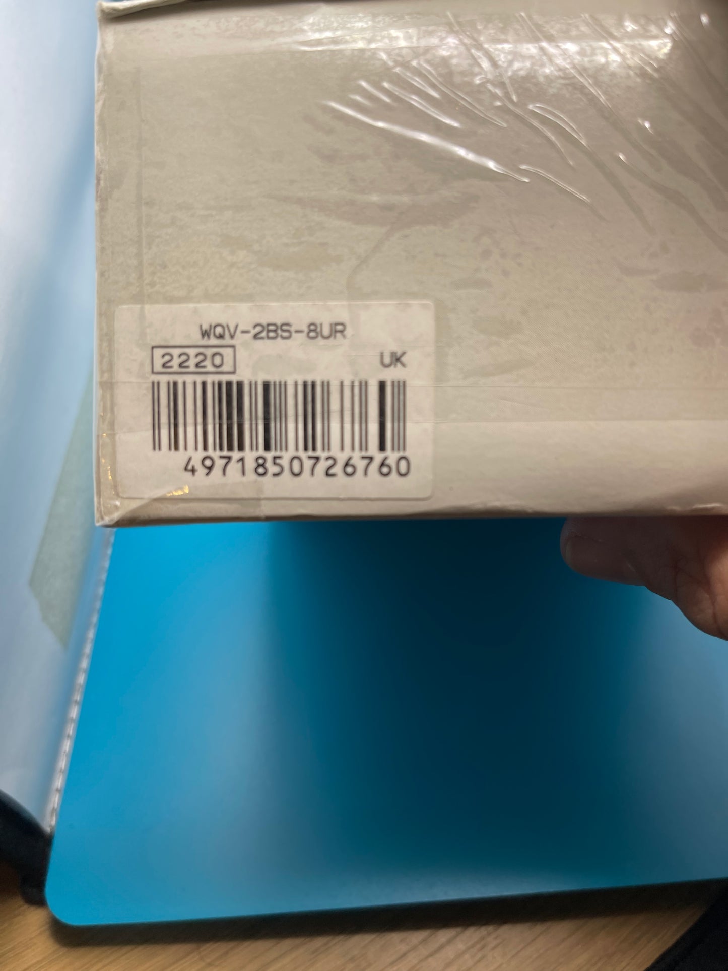 2000 CasioWQV-2BS camera watch