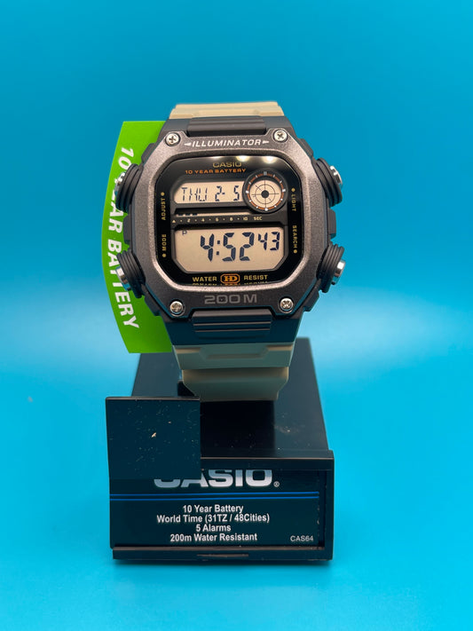 Casio DW-291