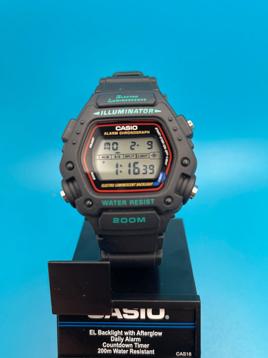 Casio DW-290