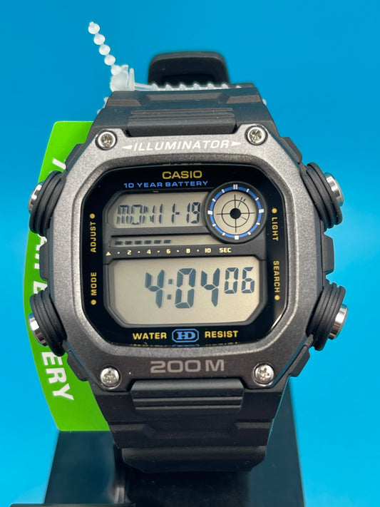 Casio DW-291