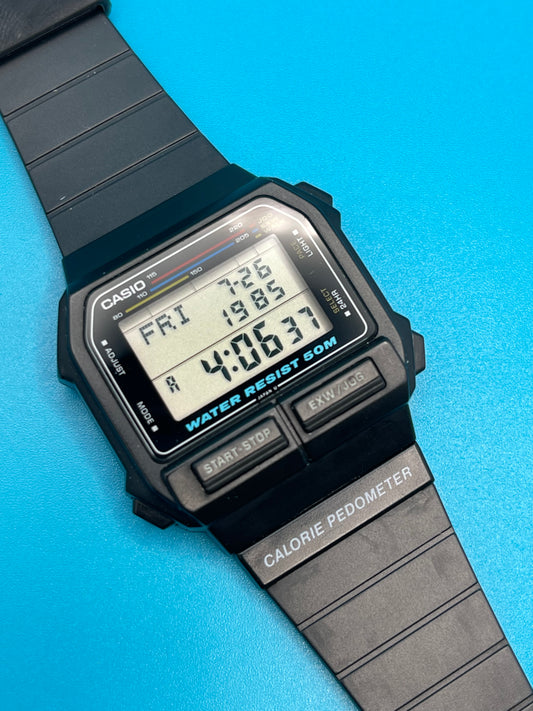 1989 Casio EXW-50 Japan