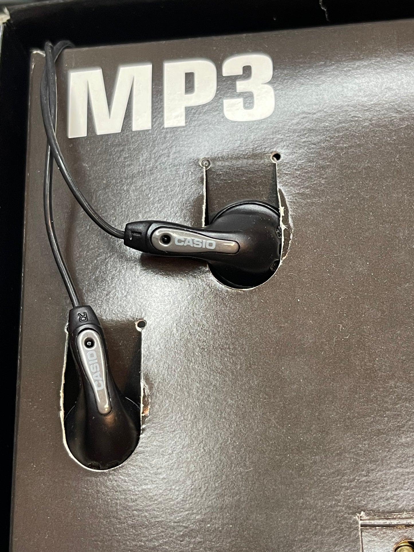 Casio WMP-1UV MP3 wrist watch