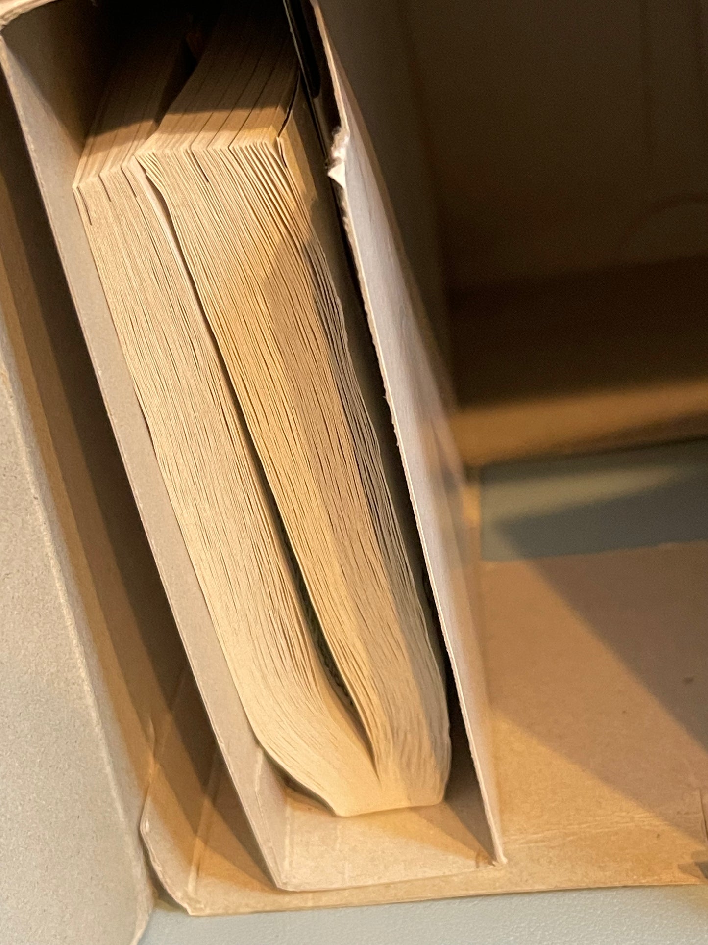 Casio WMP-1UV MP3 wrist watch